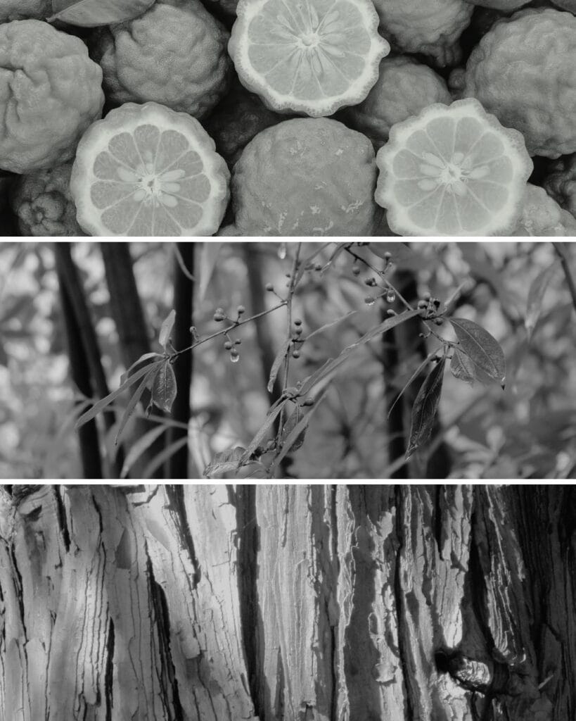 MAKAV Bath & Body Collection