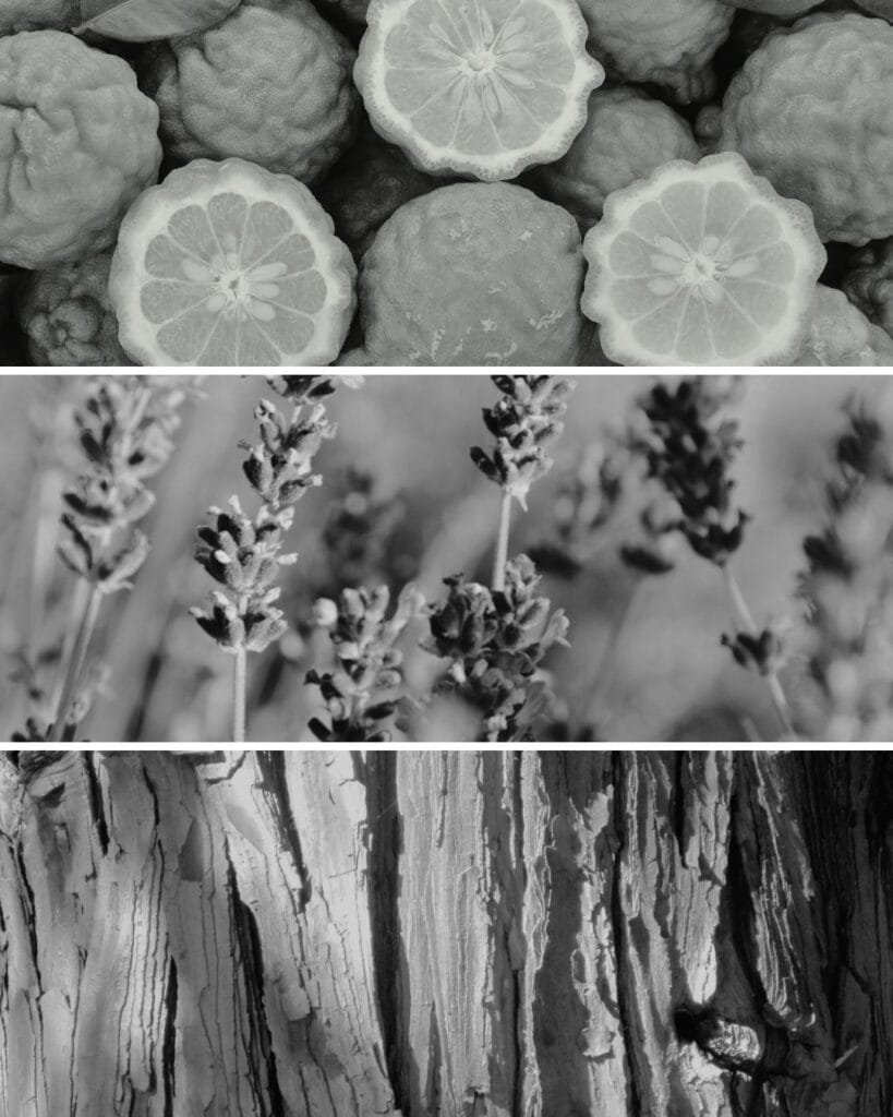 SE CONCENTRER Eau de Parfum