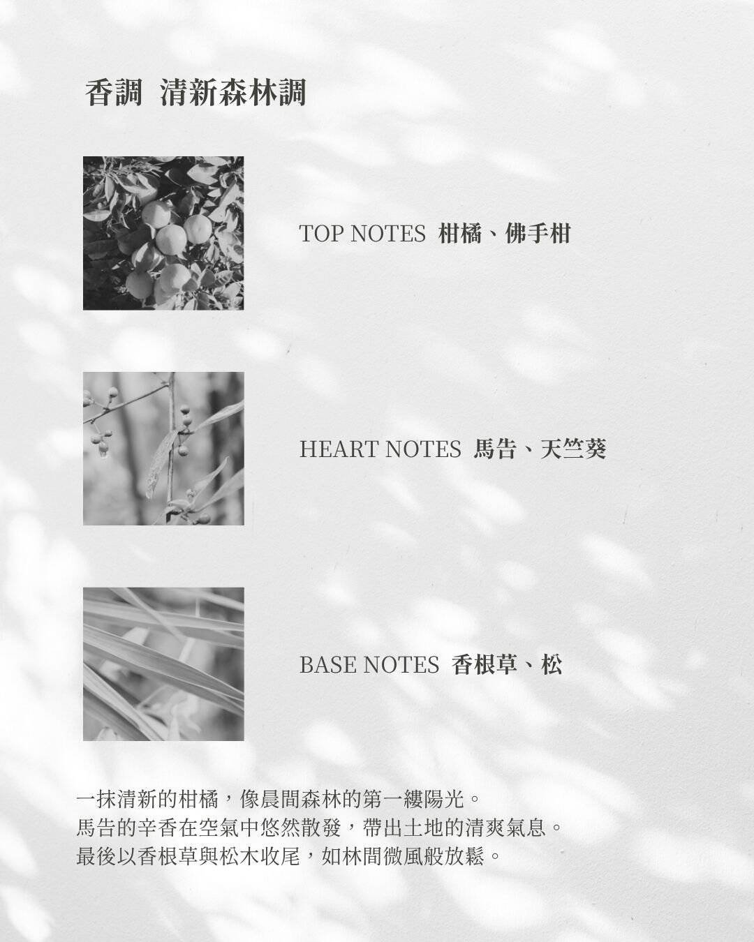 馬告香水