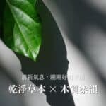 TRUE香水 真香水