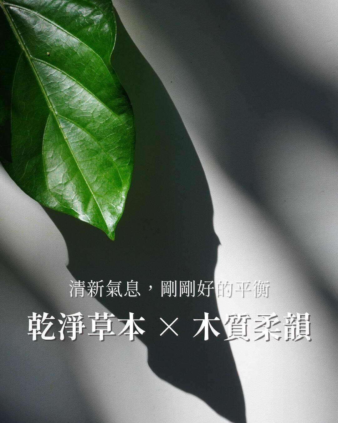 TRUE香水 真香水