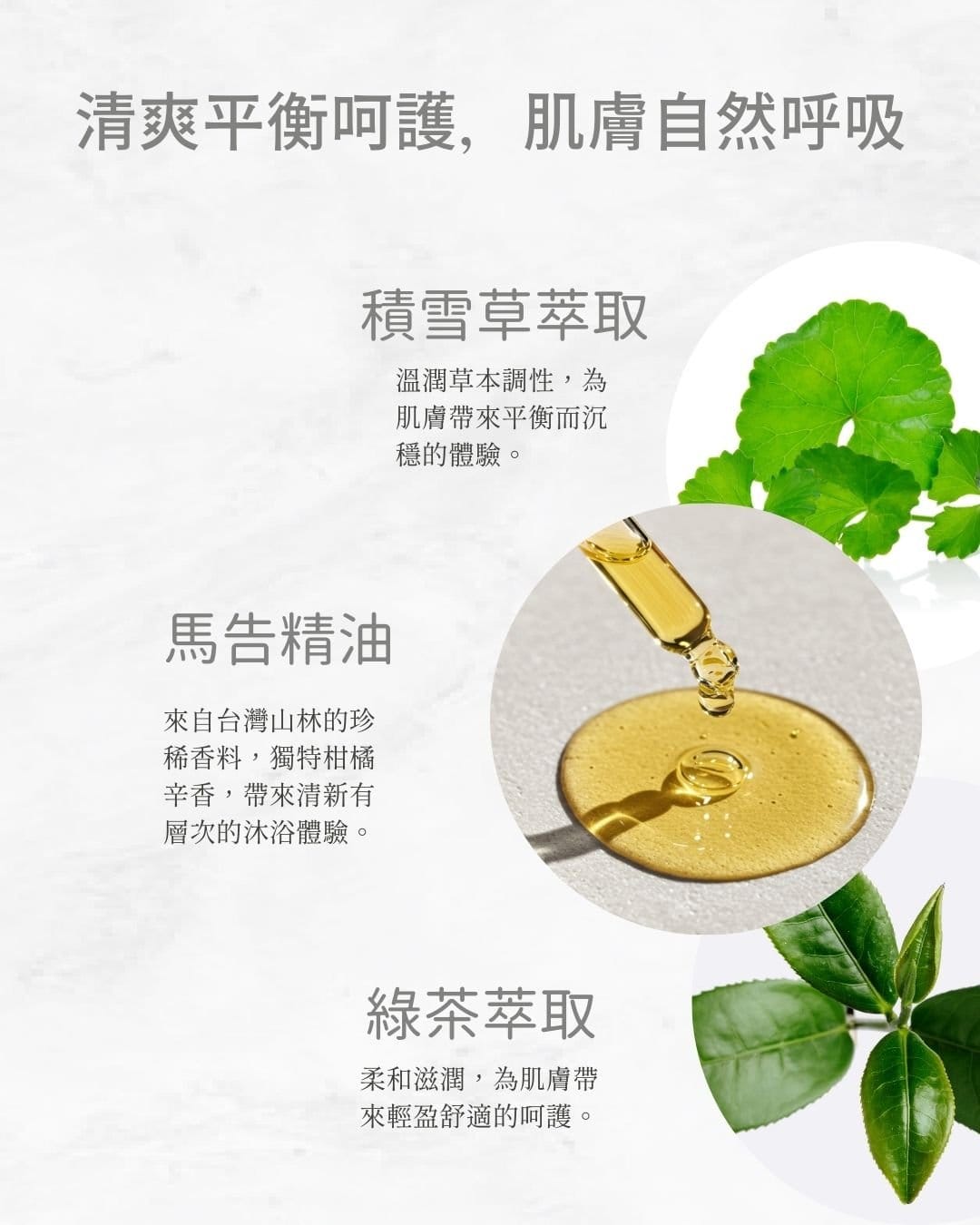 Refreshing & Balanced Care, Let Your Skin BreatheMAKAV Essential Oil (Litsea cubeba) – A rare ingredient from Taiwan’s forests, offering a unique citrus-spicy aroma for a fresh, layered bathing experience.Centella Asiatica Extract – Gentle herbal notes that provide a balanced and grounding experience for the skin.Green Tea Extract – Softly moisturizing, delivering lightweight, comfortable care.