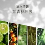 ##層次清新，如森林呼吸。