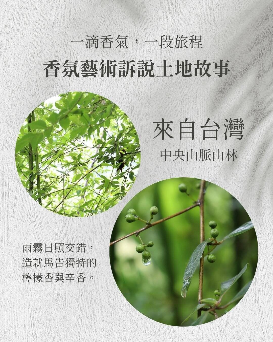一滴香氣，一段旅程。 香氛藝術訴說土地故事。 來自台灣中央山脈山林。 雨霧與日照交錯，造就馬告獨特的檸檬香與辛香。