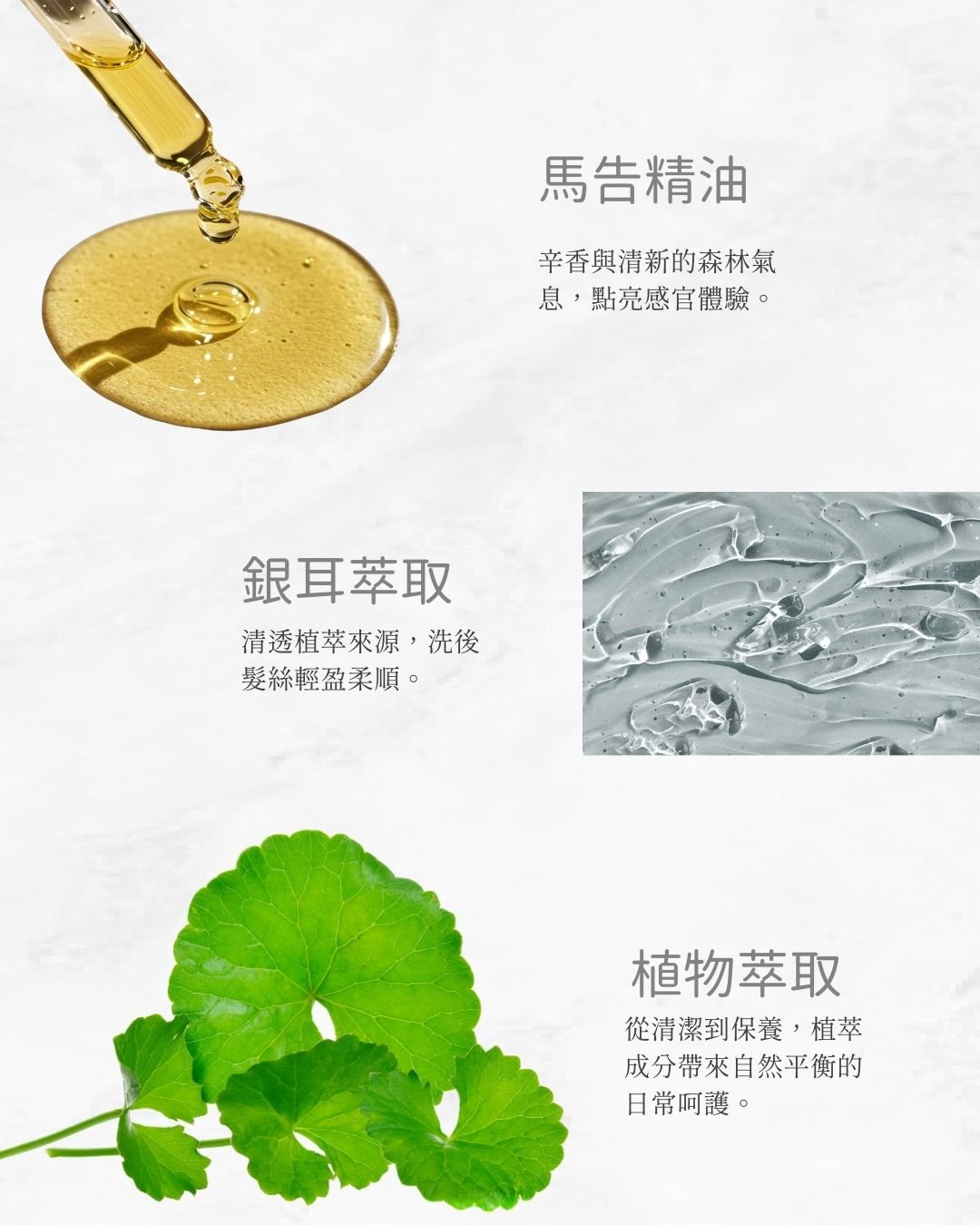 瑪嘎芙洗沐旅行組