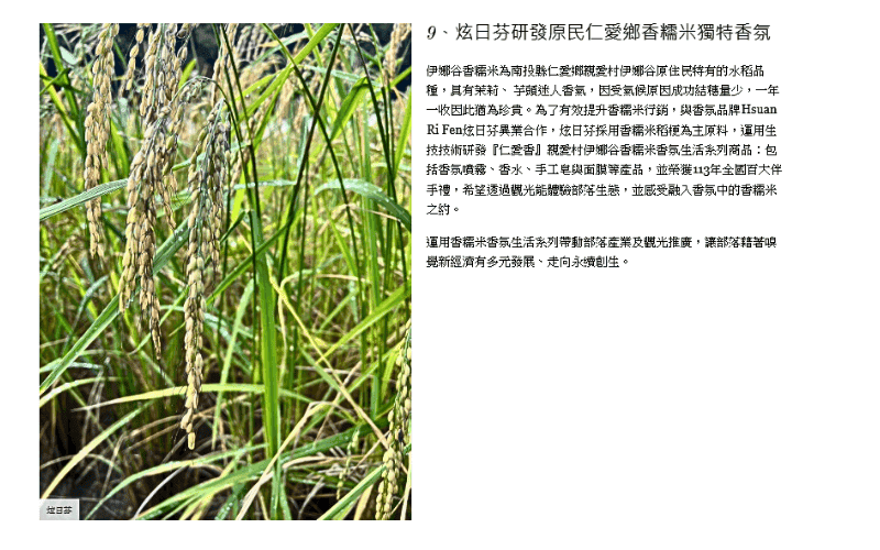 elle美妝公益活動800'500